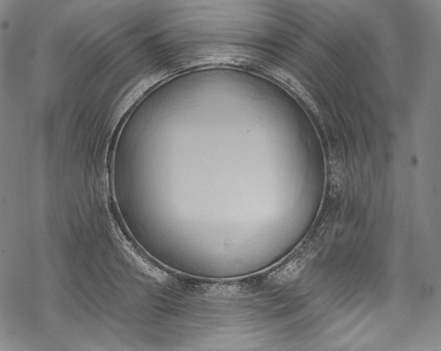 X0000068740890200605051448