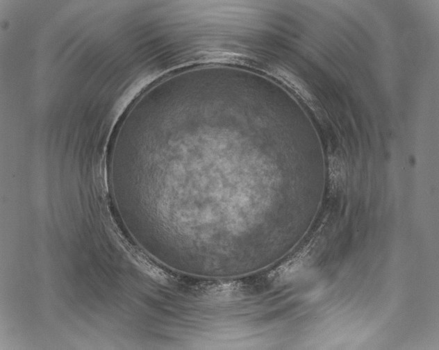 X0000068740891200605051448