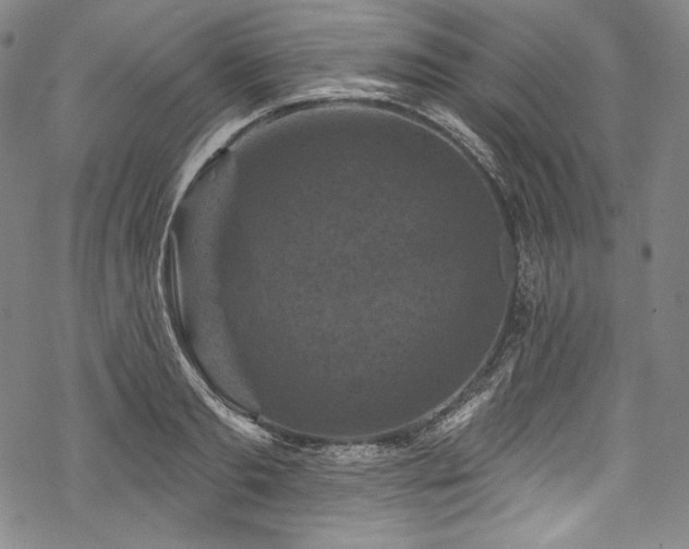 X0000068740893200605051448