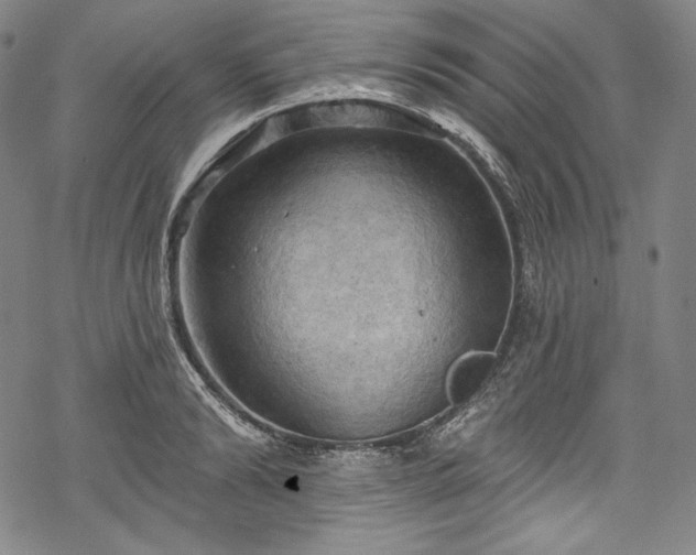 X0000068740894200605051448