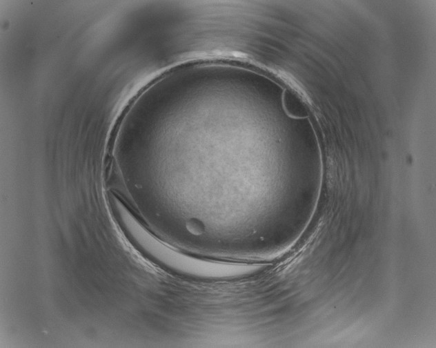 X0000068740895200605051448