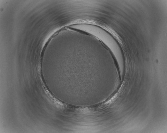 X0000068740896200605051448