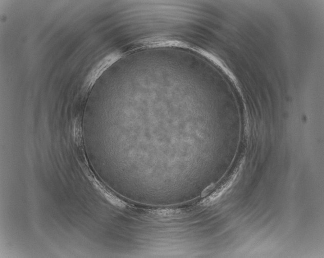 X0000068740897200605051448