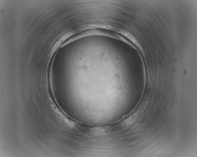 X0000068740898200605051448