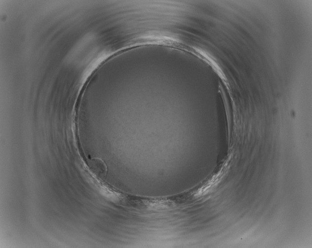 X0000068740899200605051448