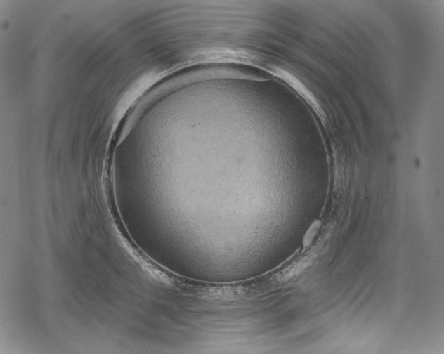 X0000068740901200605051448