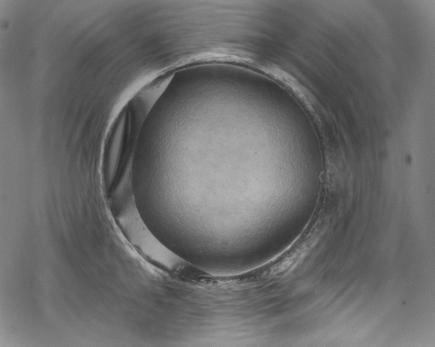 X0000068740902200605051448