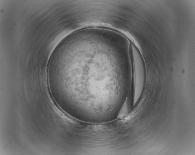 X0000068740903200605051448