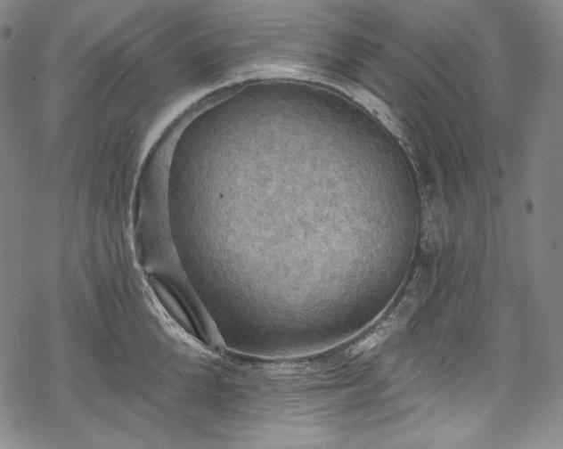 X0000068740904200605051448