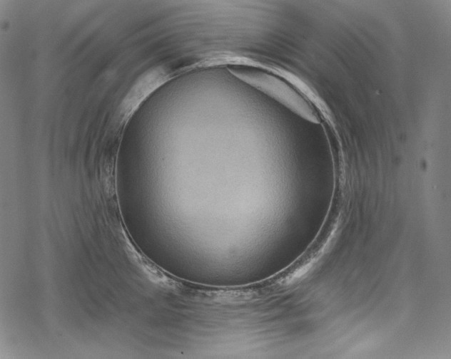 X0000068740905200605051448