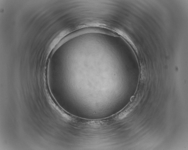 X0000068740906200605051448