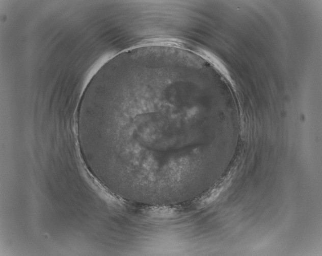 X0000068740907200605051448