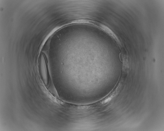 X0000068740908200605051448