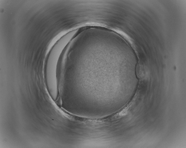 X0000068740910200605051448