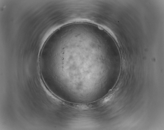 X0000068740911200605051448