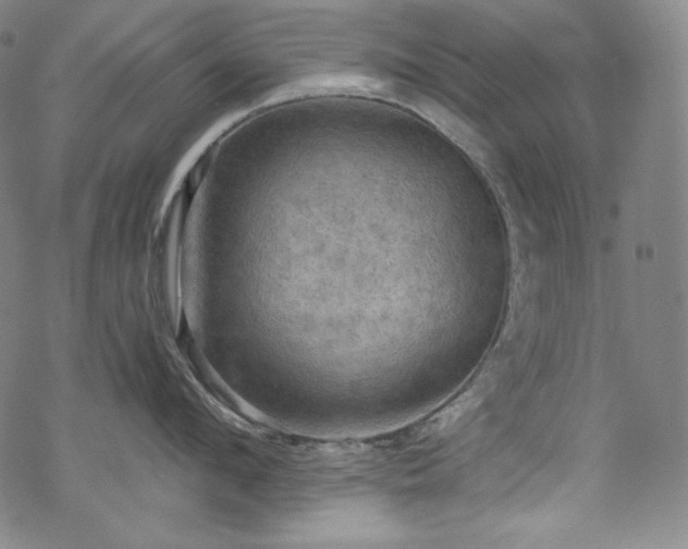 X0000068740912200605051448