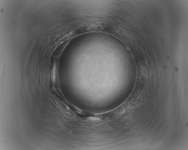 X0000068740914200605051447