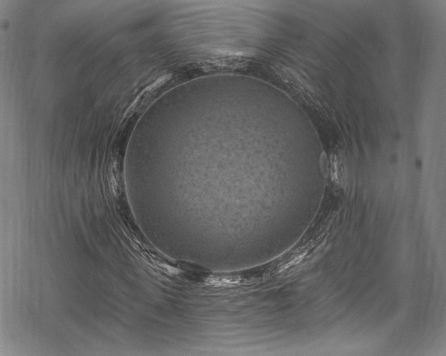 X0000068740915200605051447