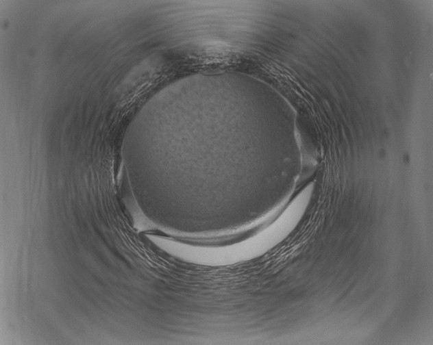 X0000068740916200605051447