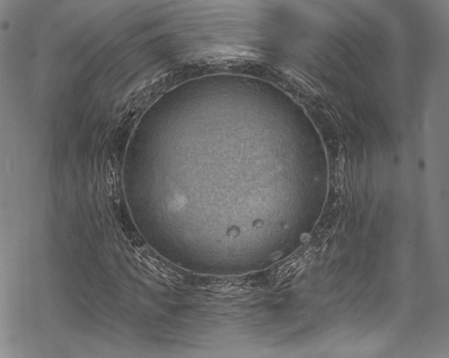 X0000068740917200605051447