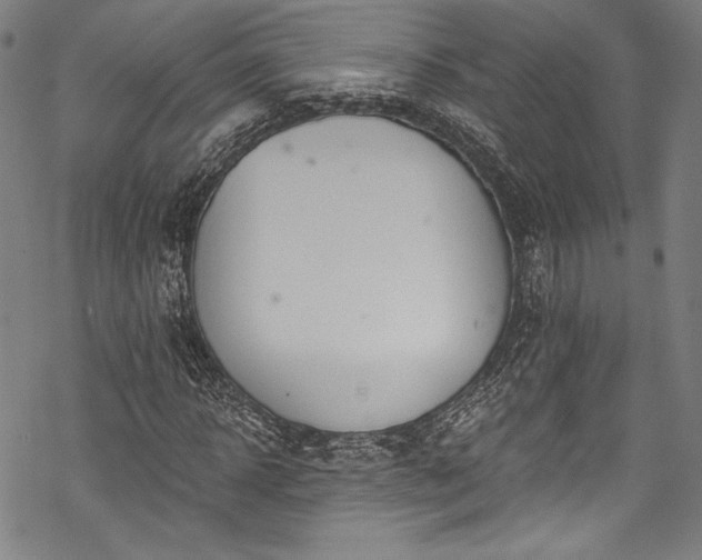 X0000068740918200605051447