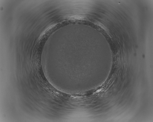 X0000068740919200605051447