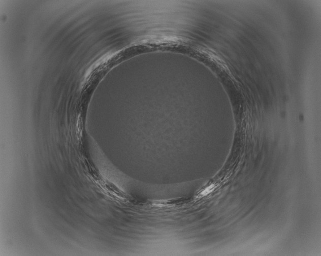 X0000068740920200605051447