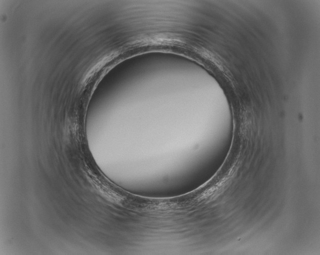 X0000068740922200605051447