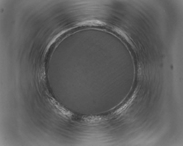 X0000068740923200605051447