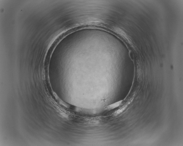 X0000068740924200605051447