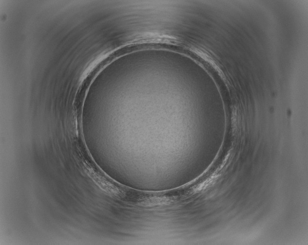 X0000068740925200605051447