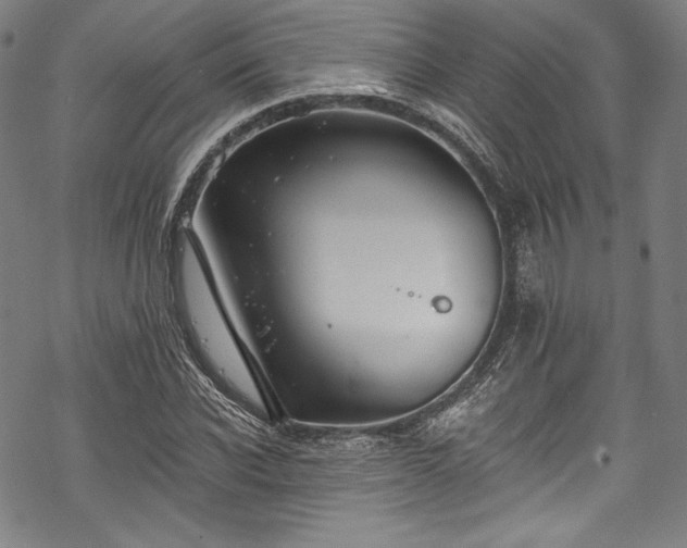 X0000068740926200605051447