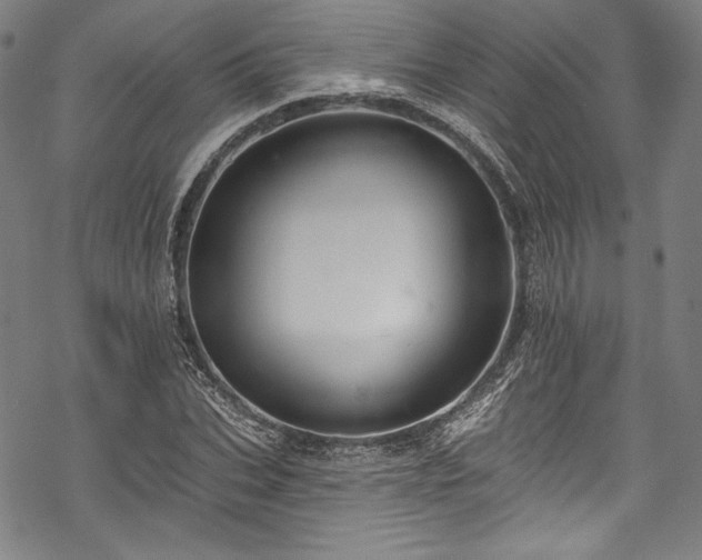 X0000068740927200605051447