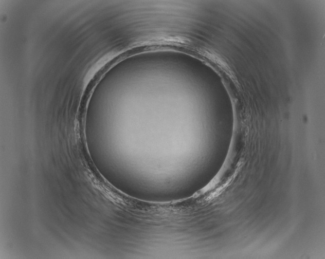 X0000068740928200605051447