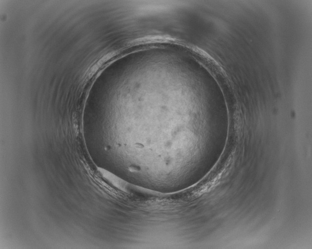 X0000068740929200605051447