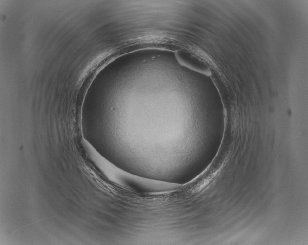 X0000068740930200605051447