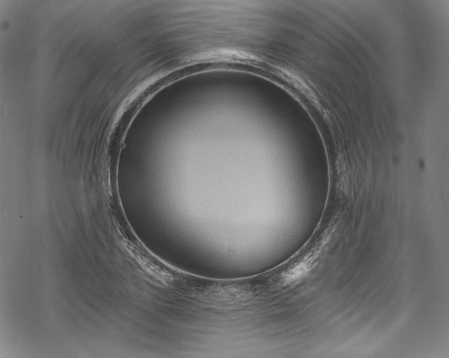 X0000068740931200605051447