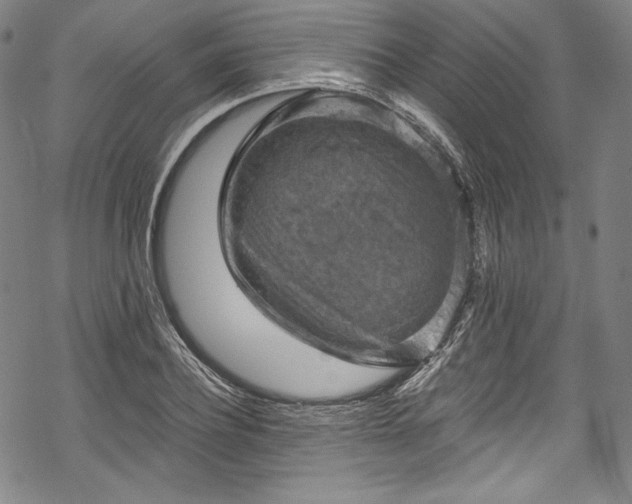 X0000068740932200605051447