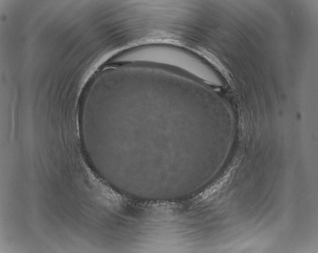 X0000068740934200605051447