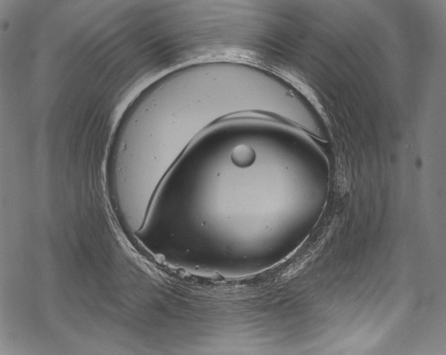 X0000068740936200605051447