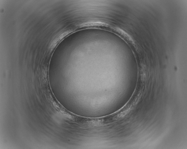 X0000068740937200605051447