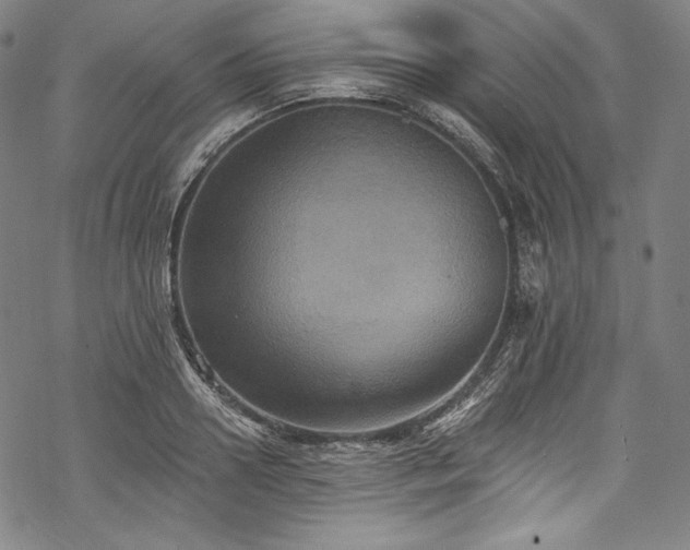 X0000068740938200605051447