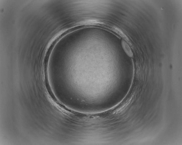 X0000068740939200605051447