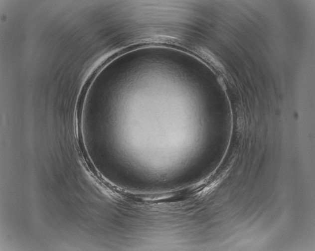 X0000068740940200605051447