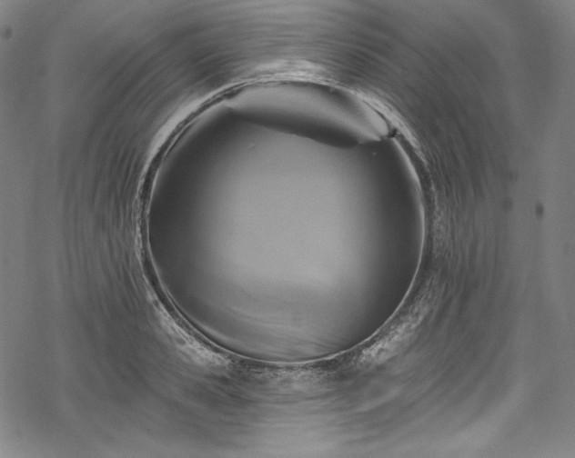 X0000068740941200605051447