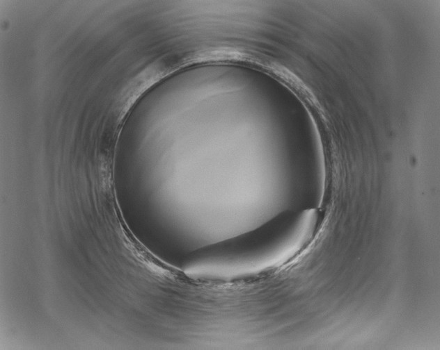 X0000068740945200605051447