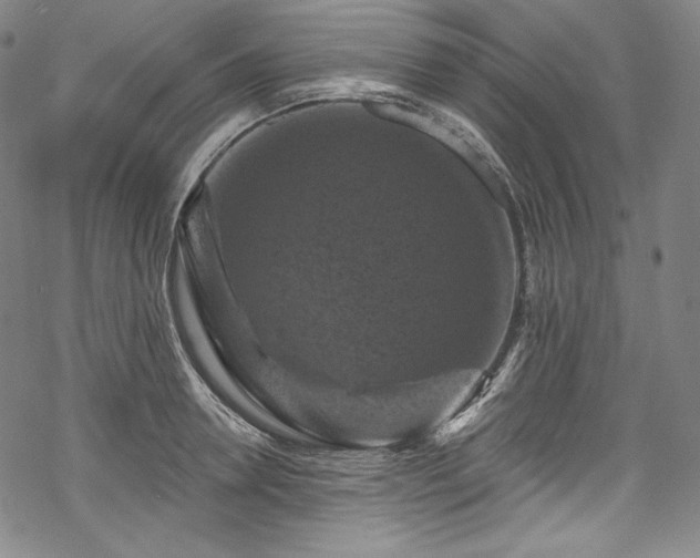 X0000068740946200605051447