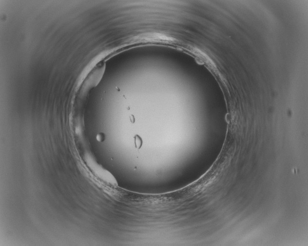 X0000068740947200605051447