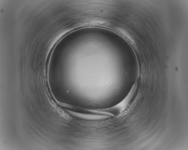 X0000068740948200605051447