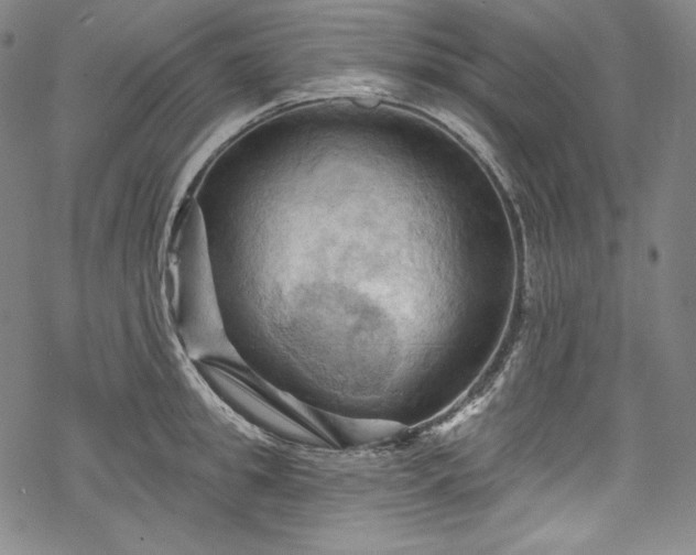 X0000068740949200605051447